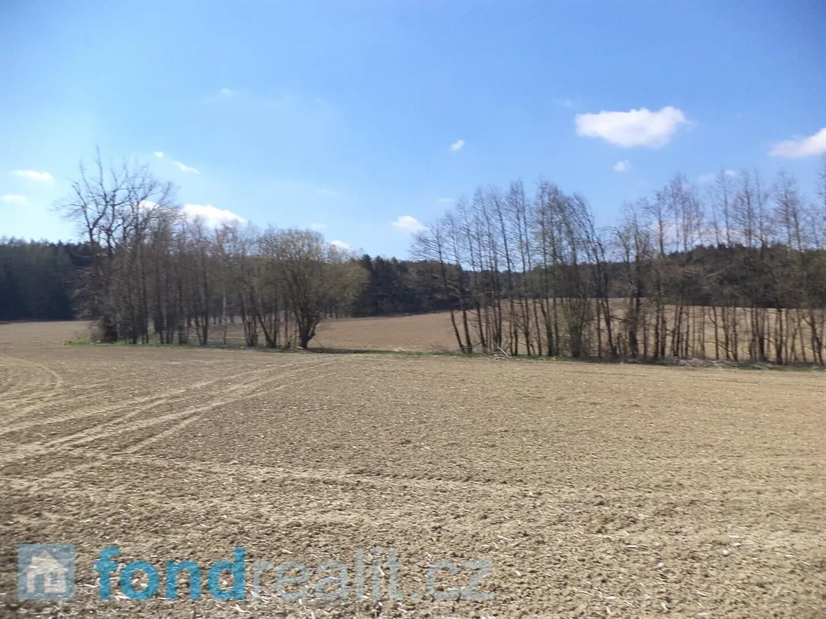 Prodej pole 5703 m²